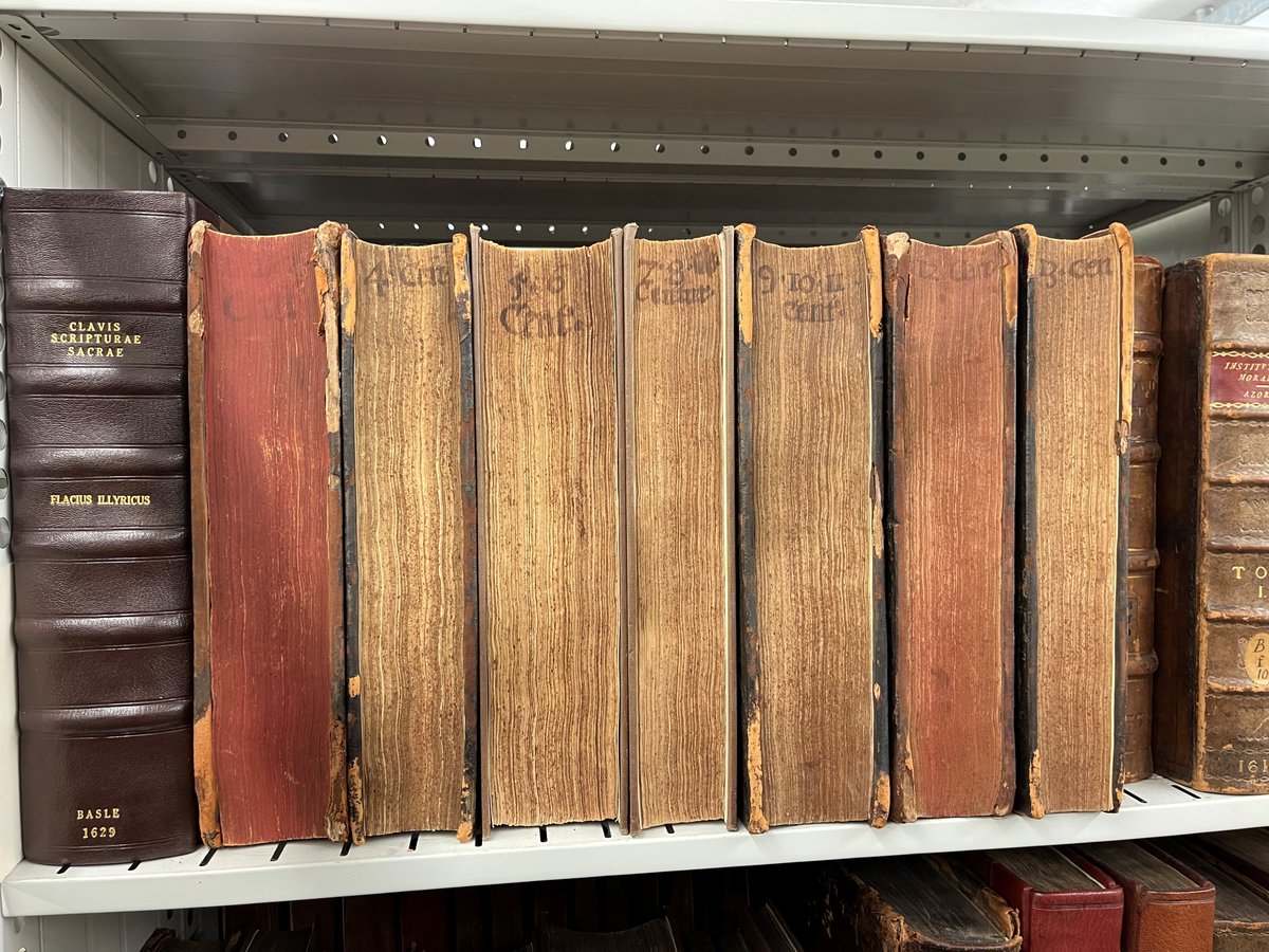 NorfolkHC's tweet photo. Did you know that until the latter part of the 17th century it was common to shelve books so their fore-edges faced outwards?! Book details were written along the fore-edge, as seen on our copy of Flacius' Ecclesiasticae Historiae (Basle, 1562-74). #bookhistory #recreatinghistory https://t.co/Ez3PDj3yij
