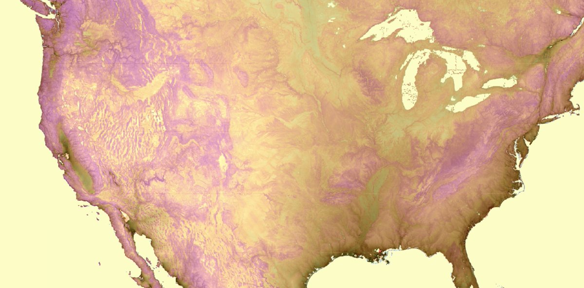 Carl Churchill tweet media