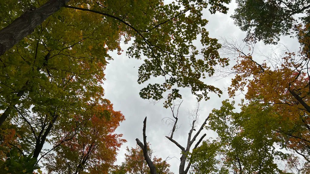 Enjoying the day off 🌳 🍂