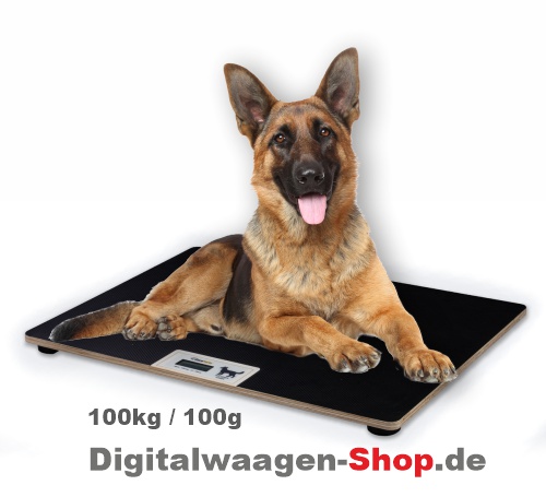 digitalwaagen's tweet photo. #Tierwaage #Hundewaage #Labrador #goldenretriever #Tierarzt #Veterinärwaage #Hunde #Schäferhund #Hovawart #Hund
Neu! Mit nur 6kg Eigengewicht!  Link zum Shop
https://t.co/VIotPNHgkv https://t.co/GUMYufZvcR