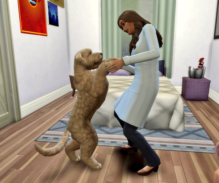 _LizDoesThings's tweet photo. Before the wedding, Leila spent some time playing with Monster 🐕🥺💜

#TS4 #TheSims4 #Sims4 #TheSims https://t.co/QLVD7tOyRz