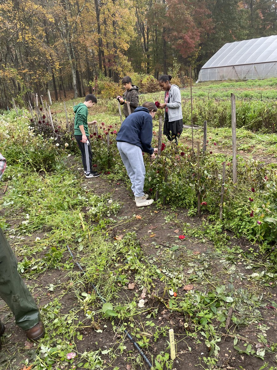 9IP had an incredible field trip today to the Natick Community Organic Farm, a perfect experience for our interdisciplinary sustainable farming unit! <a href="/natickfarm/">Natick Community Organic Farm</a>