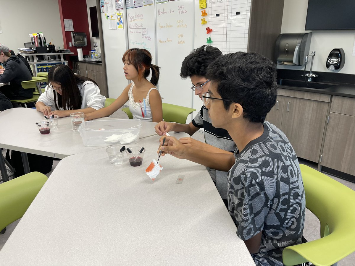 Katie Girardot tweet media