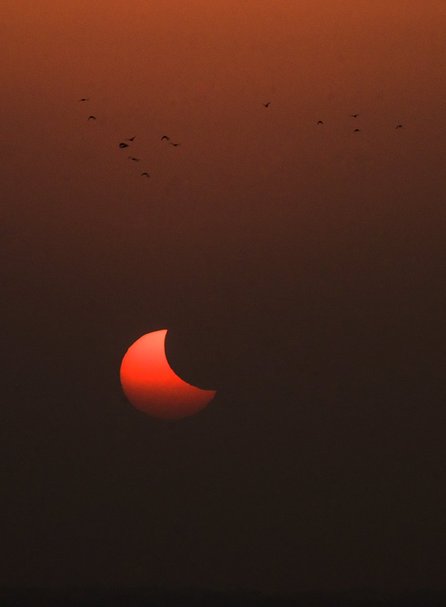 Iwriter_saheb's tweet photo. Pictures from the #SolarEclipse2022 today. Clicked on #iPhone13Pro by #Apple .
#SolarEclipse #solareclipseindia #SolarEclipse2022LIVE #solareclips @aajtak @ndtvindia @ndtv @ABPNews @BBCScienceNews @News18India @NASA https://t.co/AFaiLkubjR