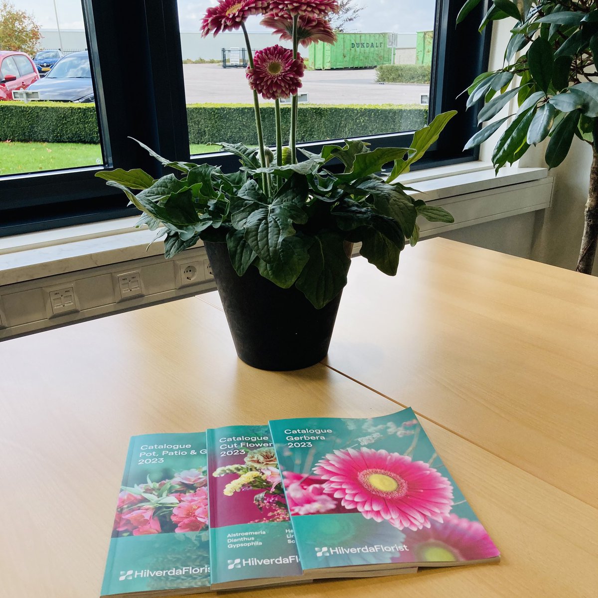 Remco de Boer tweet media