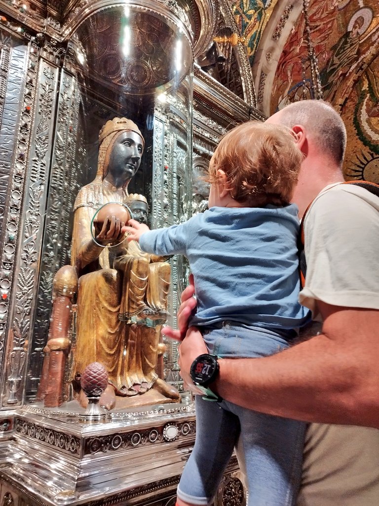mirmalloret's tweet photo. Avui hem anat a Montserrat i he regalat un #Curset que se'n va cap a Austràlia. Vola ben lluny! 💔 https://t.co/5jsj1iYdW8