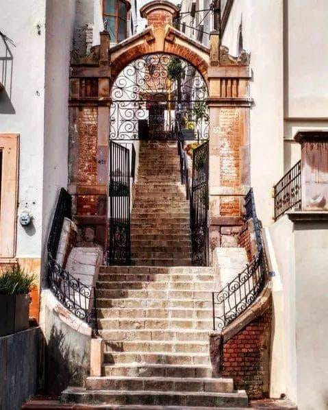 FototecaZac's tweet photo. #BuenMartes No puedes tener un mañana mejor si estás pensando en el día de ayer todo el tiempo.
#FotoDe María De Jesús García Barajas.
#Zacatecas https://t.co/Z5qMjoC0PD