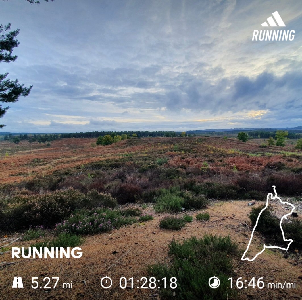HaslemereH4's tweet photo. Lovely little training run! https://t.co/xgrImzTXqo