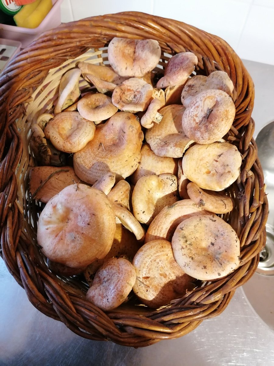 ❤️❤️❤️❤️❤️