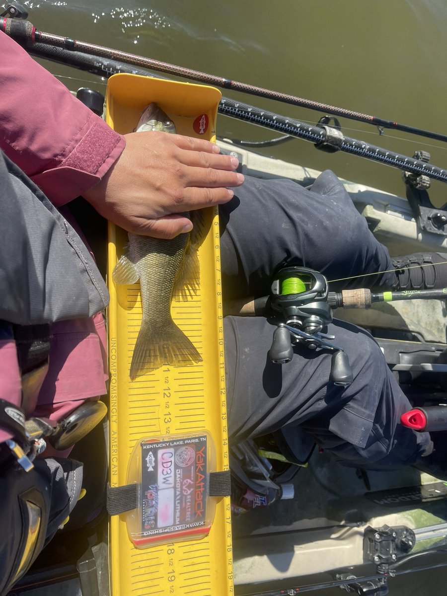 mckrose24's tweet image. For any of y’all that have ever measured a little smallie, you know they are like a fart in a skillet, I’ve prob lost more before photo then after LOL This one was being sweet😂
Anyone else? #kayakbassfishing #ketchboard #kayakangler #girlsfishtoo