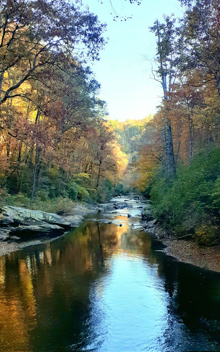 “Look deep into nature and you will understand everything better.” - Albert Einstein _________________ #JoyTrain #Nature #RockC #Photo #Autumn #Fall