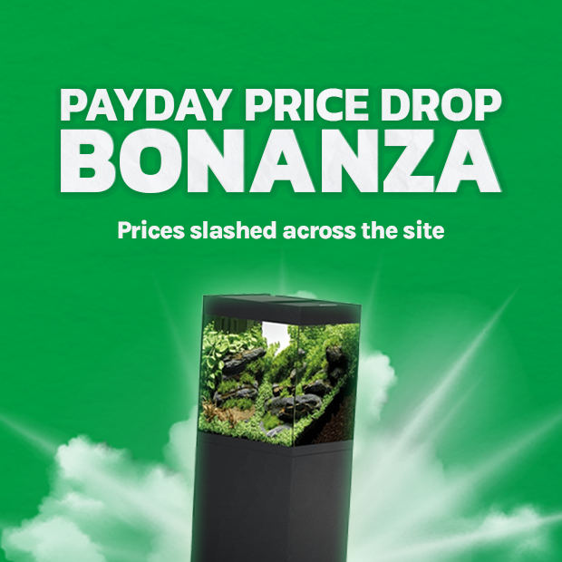 💰PAYDAY PRICE DROP BONANZA💰

Payday week has arrived, and we've slashed the prices across our website, grab yourself a huge saving while you can!💸  

bit.ly/3DsQteK