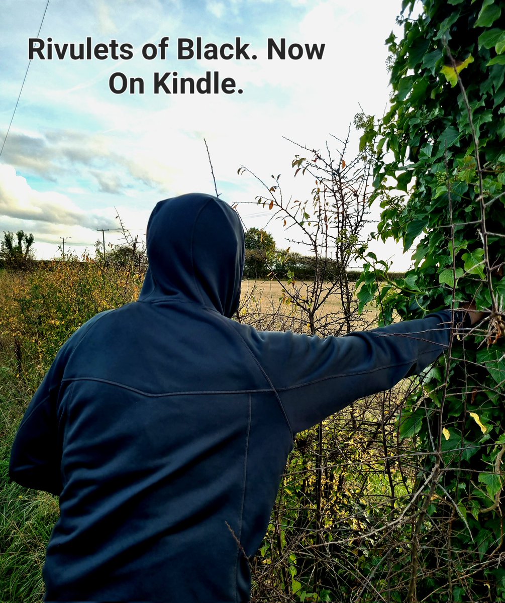 G.E.MAGEE tweet media