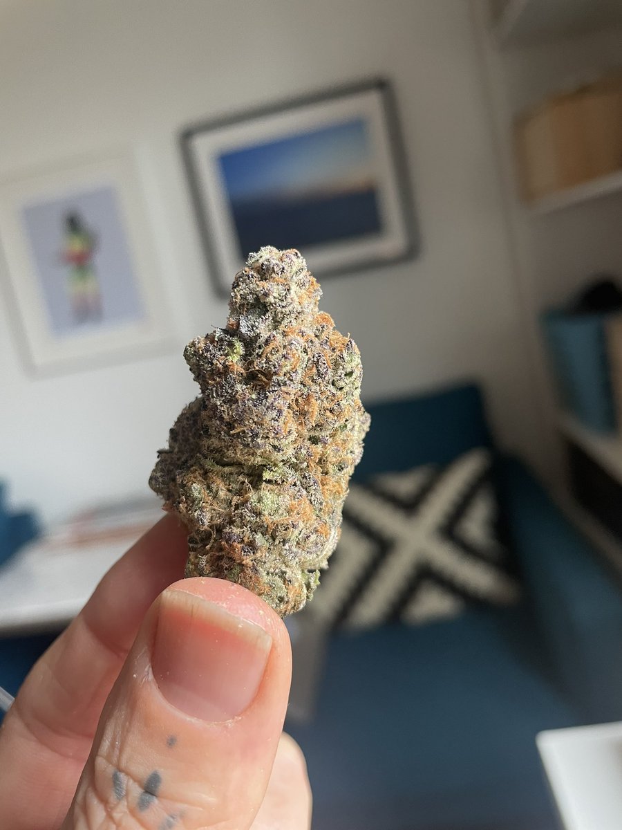 Andrea Dobbs tweet media