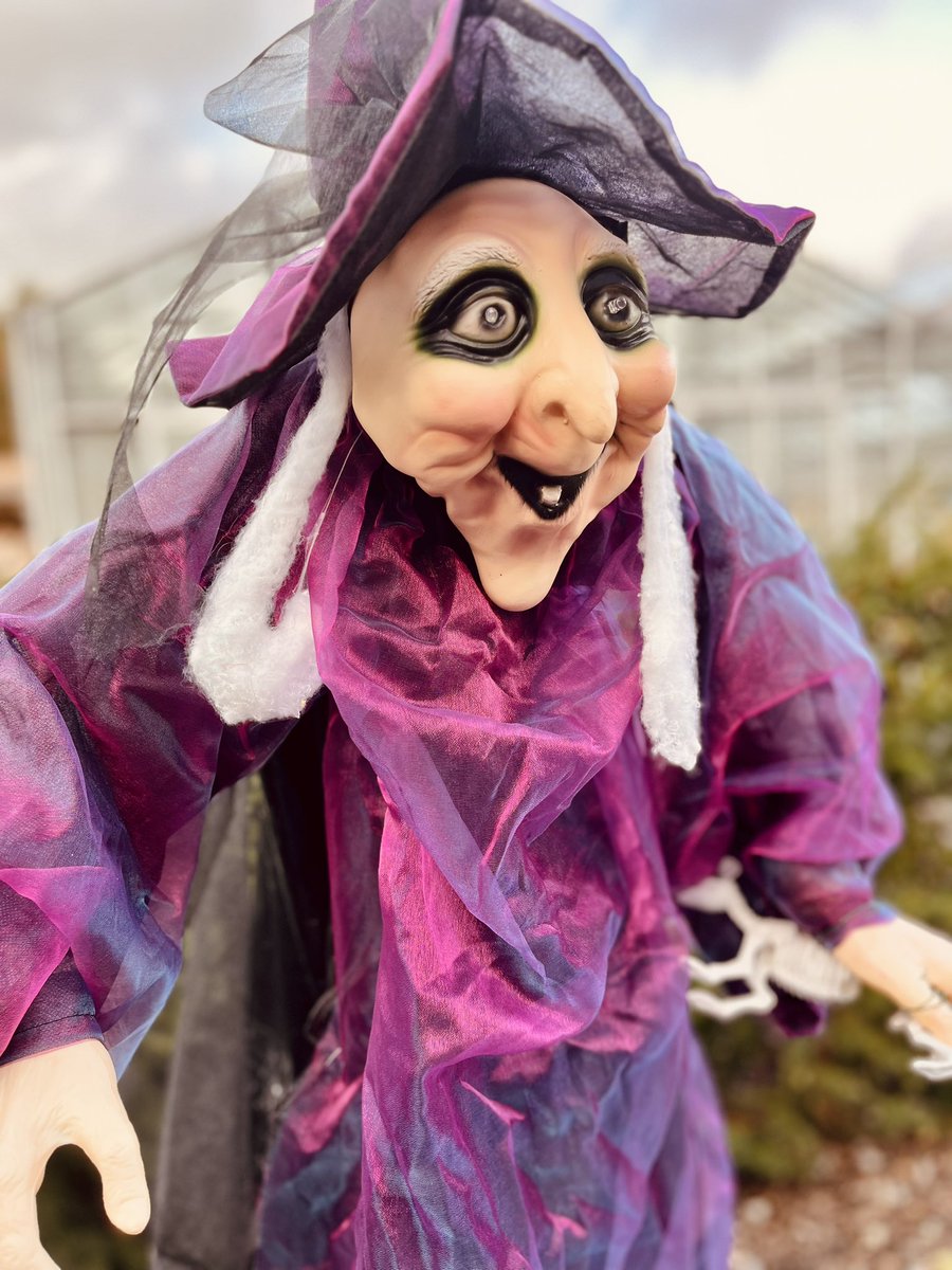 Lots of fun at <a href="/OneGardenBtn/">One Garden Brighton</a> Halloween trail, and some tasty ciders in store. I’d love to host a guided cider tasting here.