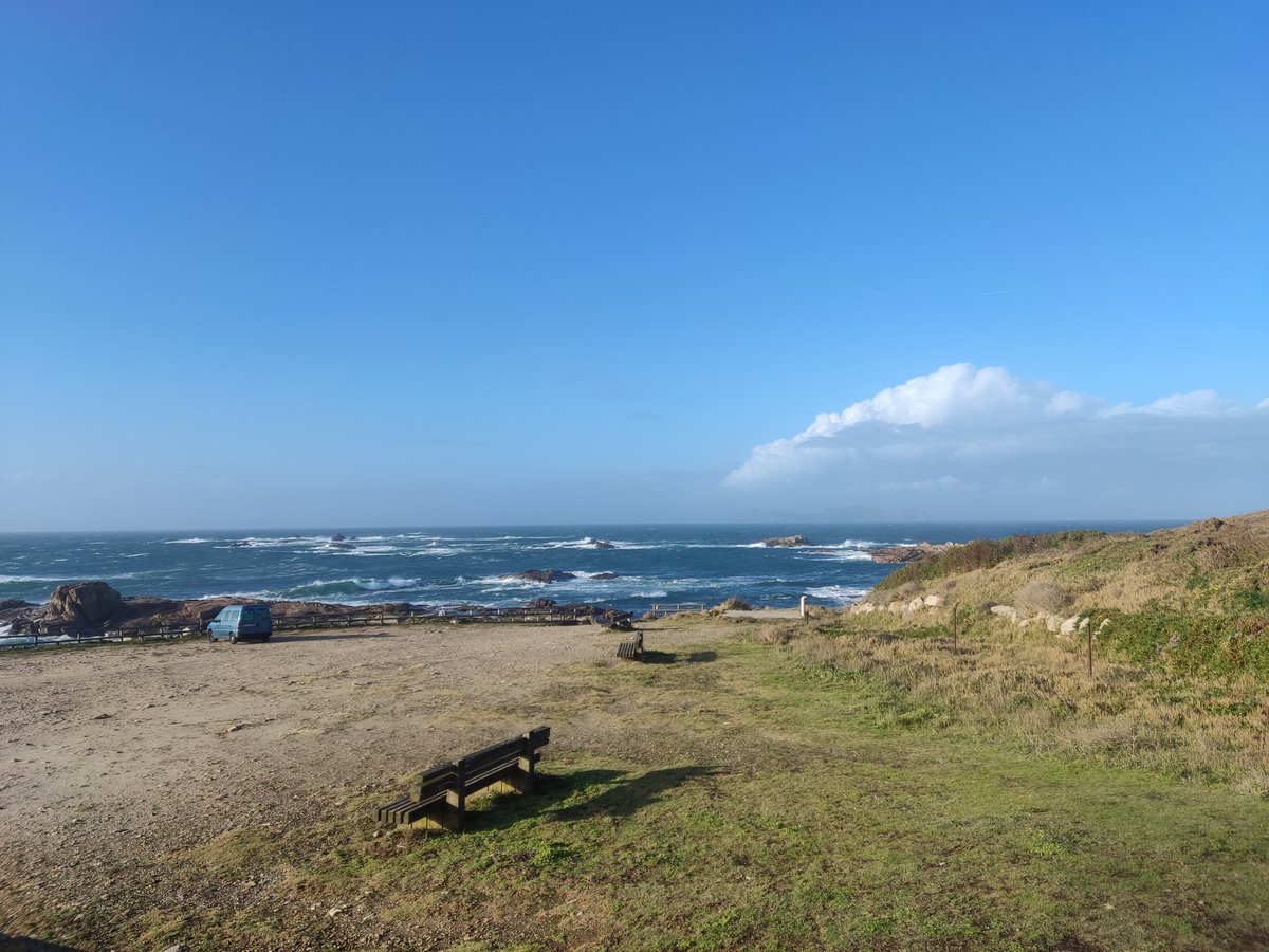 CatharactaBW's tweet photo. ...
-4 carráns cristados
-6 falaropos bicogrosos

Xornada entretida en xeral, cunha mar preciosa. Mención aparte o espectacular paso de paíño boreal, non moi habitual. E, para rematar, un agradecemento enorme a @NMagdalenaG, pola axuda (e por darme envexa e facerme vir!) https://t.co/HwE2SDSmSS