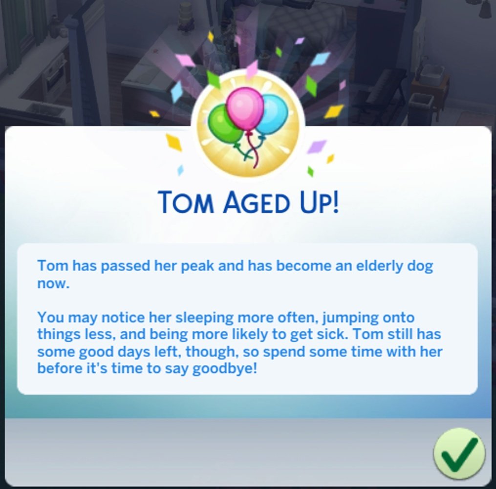 _LizDoesThings's tweet photo. Tom aged up! This old dog still has some time, but Leila should enjoy it while it lasts 🐾

#TS4 #TheSims4 #Sims4 #TheSims https://t.co/viwhxnFF0w