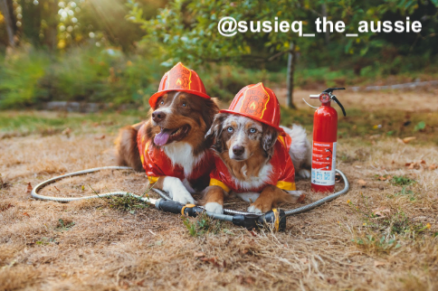 #FirstAlertPartner October is Fire Prevention Month &amp; the perfect time to plan and practice your emergency escape plan with the whole family. Check out <a href="/FirstAlert/">First Alert</a> fire safety products. Protect what matters most. clvr.li/FAFPMCS2  #FirePreventionMonth #FirstAlert