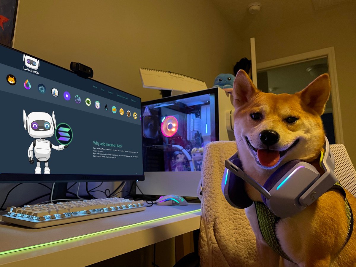 Shibalana tweet media