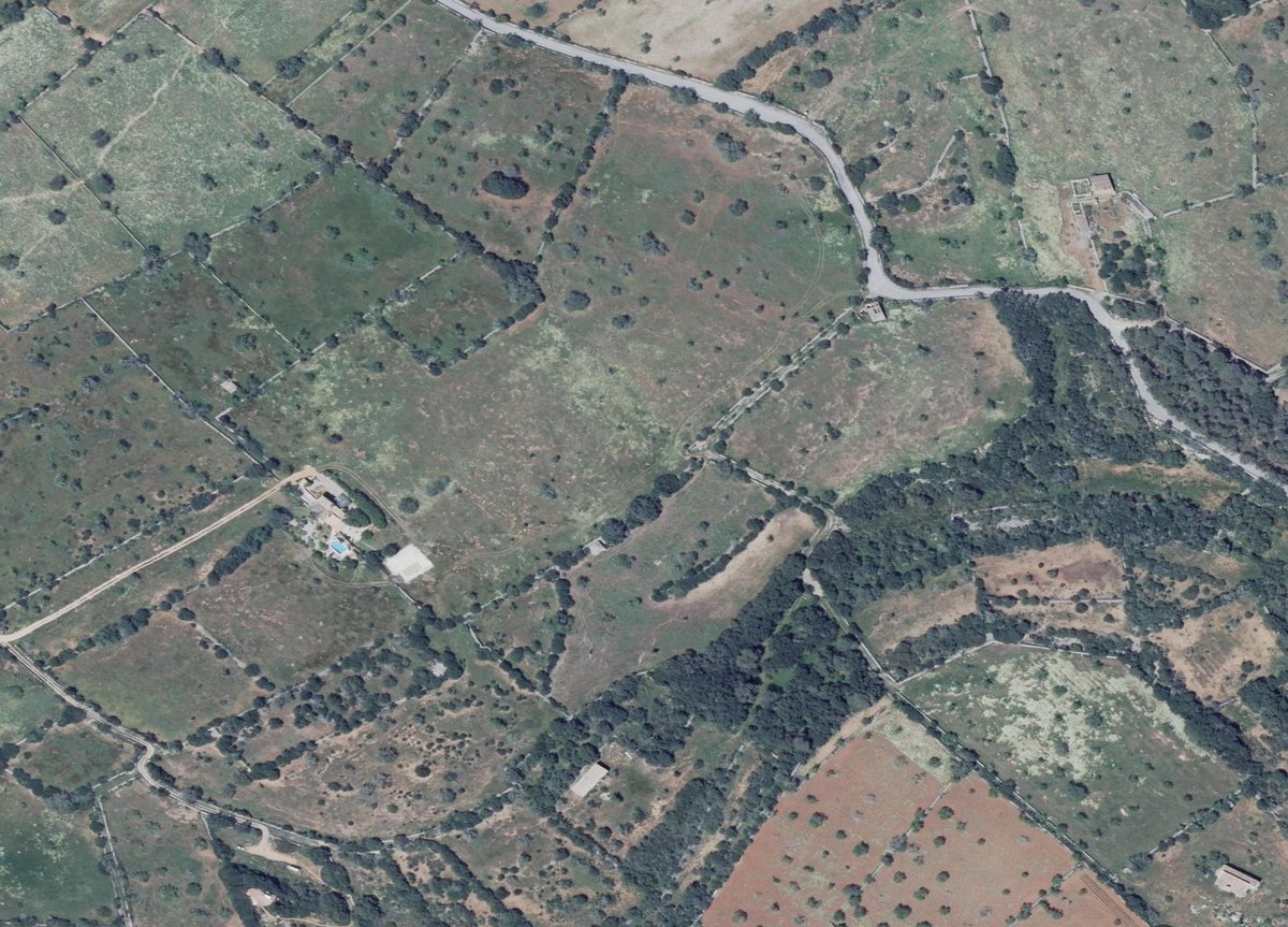 Terraferida's tweet photo. Demà parlarem de com la Mallorca rural desapareix davall el ciment i l'especulació a un ritme vertiginós. Dades, gràfics i mapes per radiografiar un desastre enorme que feim de no veure. Ajudau-nos a frenar-ho abans que no quedi res. https://t.co/Q4HuGkvU9d