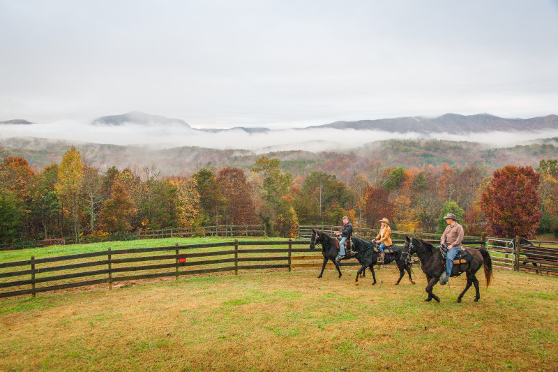 Discover_SC's tweet photo. From world-class golf and unique culinary traditions, to spectacular fall color discover the joys of fall in South Carolina. https://t.co/lUTm1rmNqf #DiscoverSC #FallinSC https://t.co/MJogWAsdUt