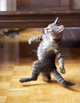 You chew my babe, I impregnate your sisters💀💀
..I can't loose alone🙅😂😂