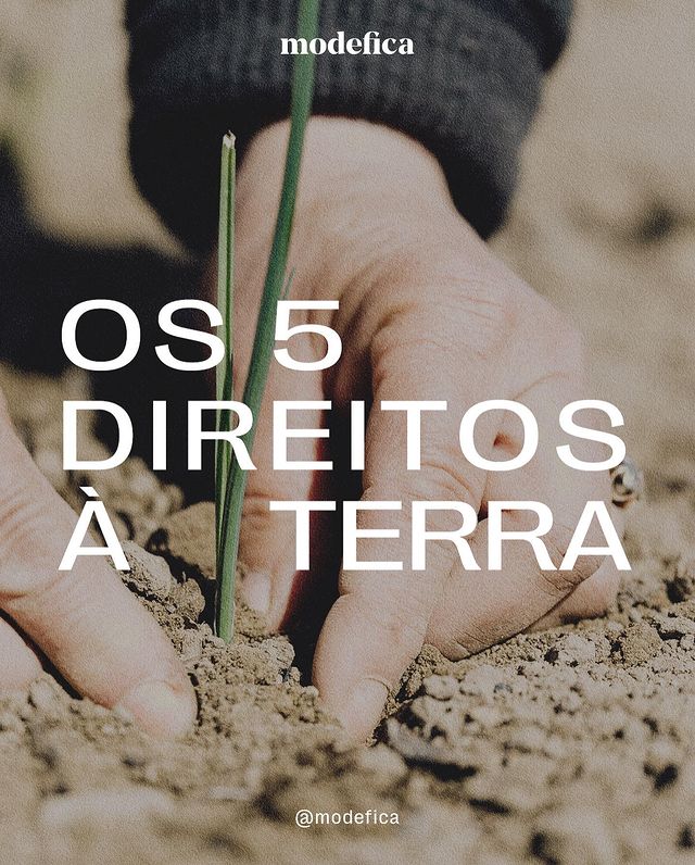 Modefica tweet media