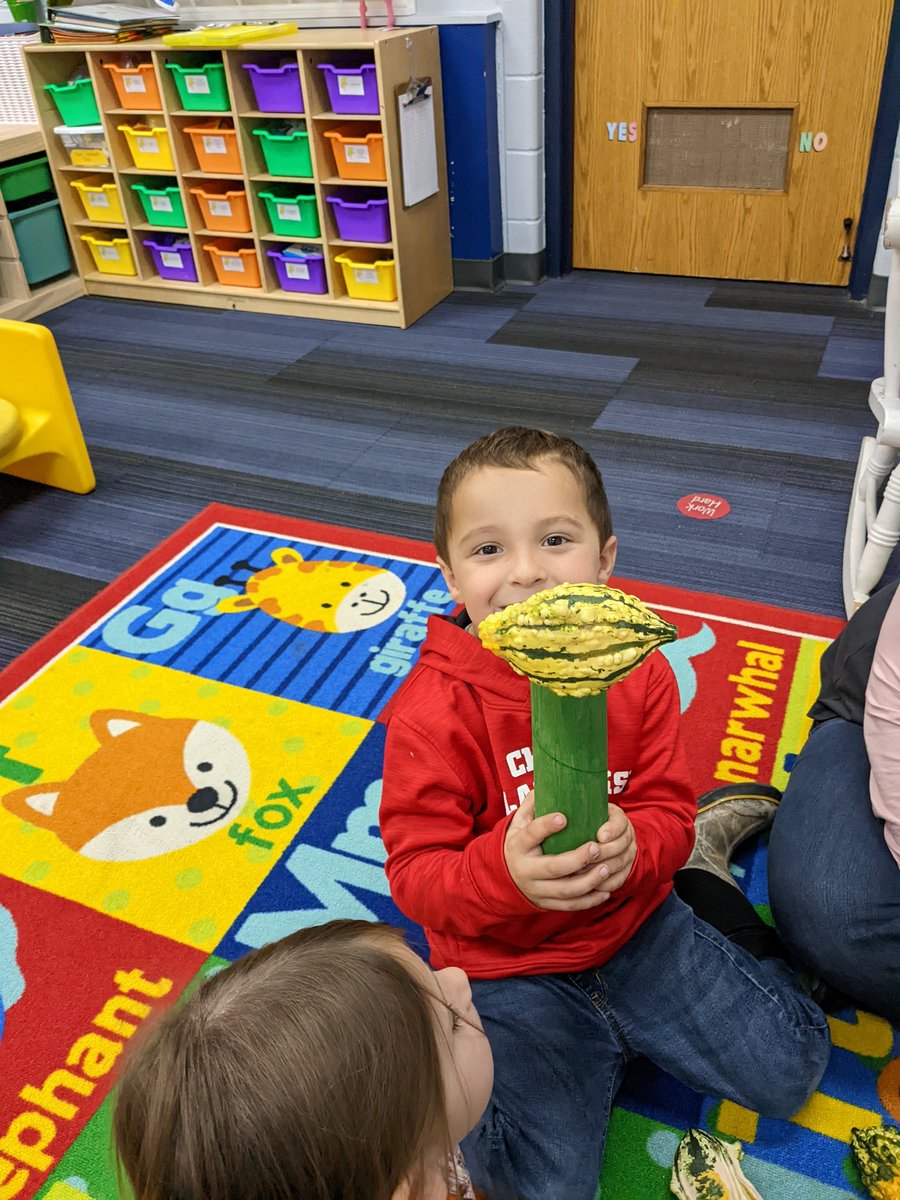 KinderKelly7's tweet photo. Pumpkin science day was a success. We built felt pumpkins and identified all the parts. We gutted pumpkins. We rolled dice & tried to fill a small pumpkin with seeds, did some gourd stacking, & taste tested! @alisoncable #weewarhawks #wcsflight #4KYellowBirds #pumpkinscience https://t.co/rSzXJUU7Hw