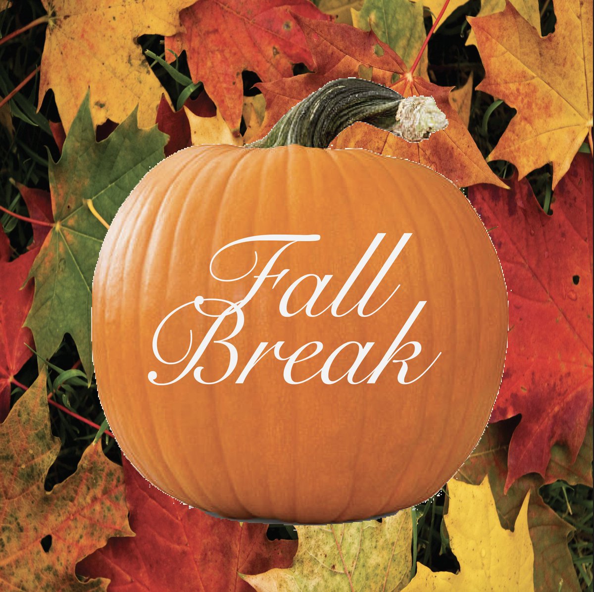 LSNnewspaper's tweet photo. Fall break is just around the corner! Check out Mia Fuller's story about it.

https://t.co/zrKGci27f3 https://t.co/qRCVmCmB9c