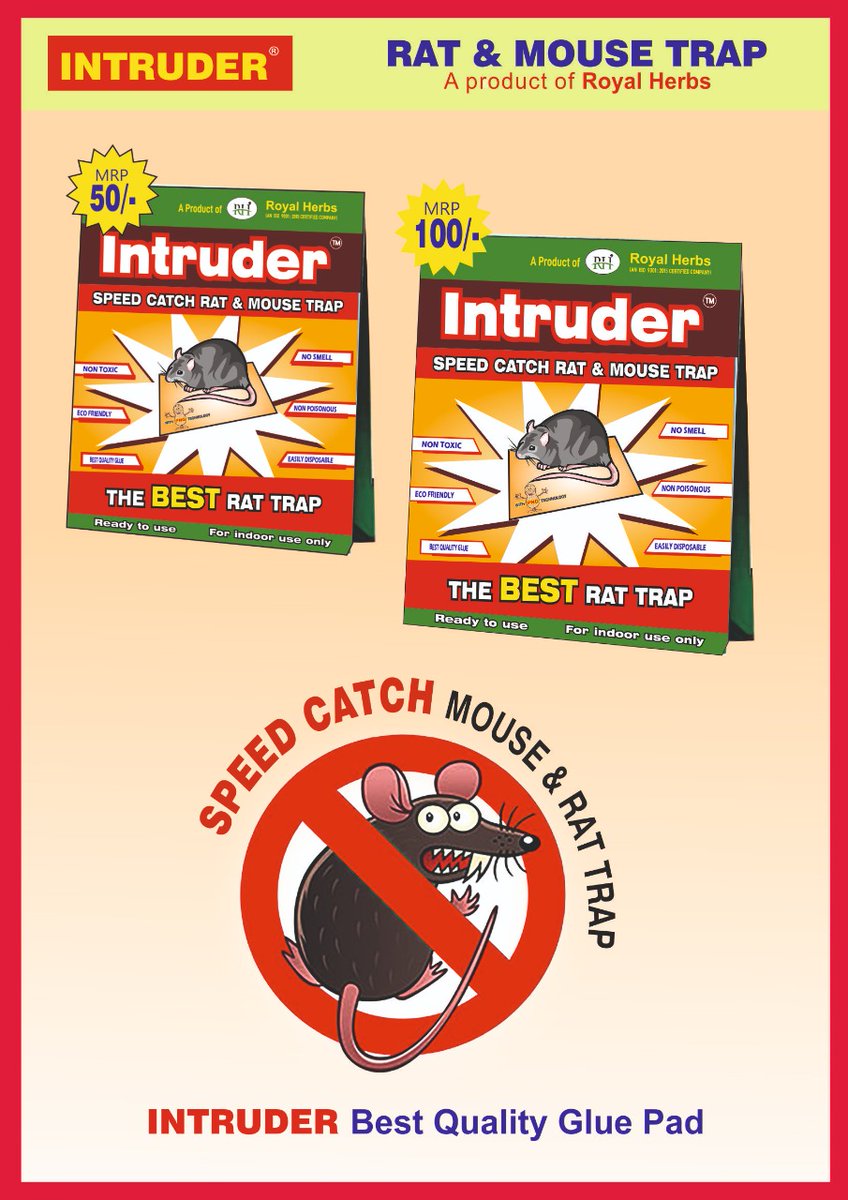 royalherbscom's tweet photo. #intruder Rat trap Rat and mouse glue a product of #Royalherbs https://t.co/uYxHyvFHLj