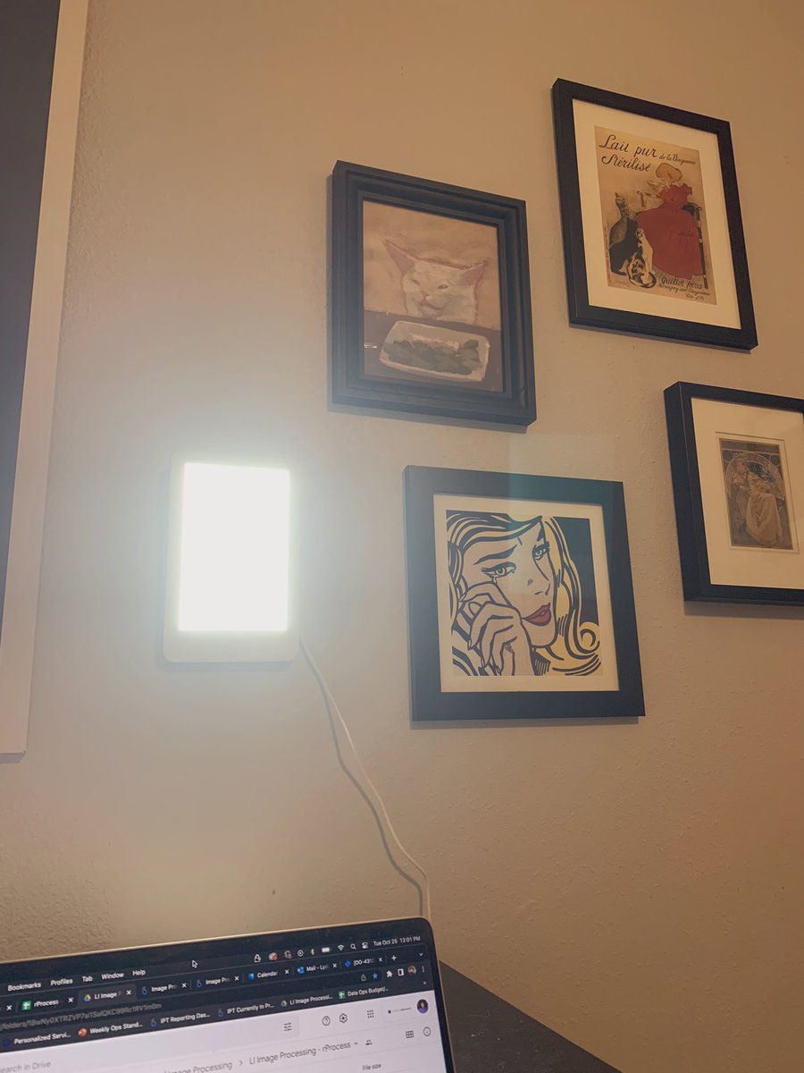 tinafaygo's tweet image. still dark when I woke up at 8am… tis the season to fire up your SAD lamps y’all