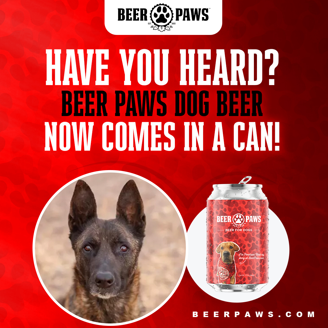 Beer Paws tweet media