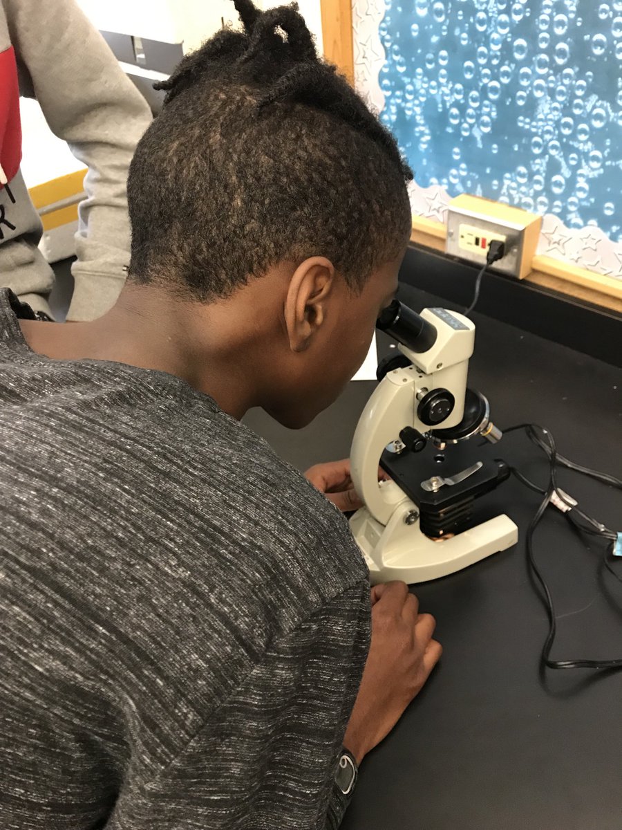 Tecumseh_sr's tweet photo. Learning how to use the microscope and observe plant and animal cells. The awesome world of Science! ⁦@tdsb⁩ ⁦@ghumanh2o⁩ https://t.co/jSpfWIXJ0e