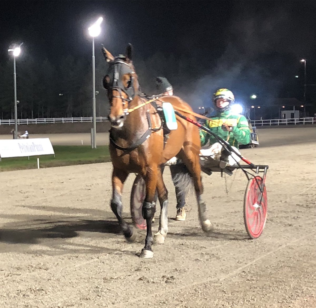 UllaMerilainen's tweet photo. Hienoa Minttu ensimmäisenä maaliviivan yli! 💕🐴 Jes! 👍 Valmentaja Tuija ja Kari Irri. Ohjissa Jukka Torvinen Porkkanat maistui voittajalle❣️🥕🥕 @teivoteivo #ravit #mamichulo https://t.co/dfqLLPDm0p
