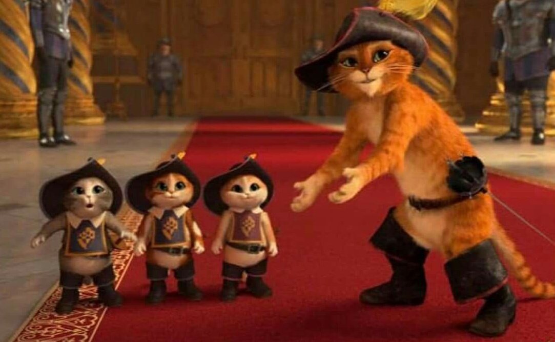 My: cat escapes from home*

My cat a week later: