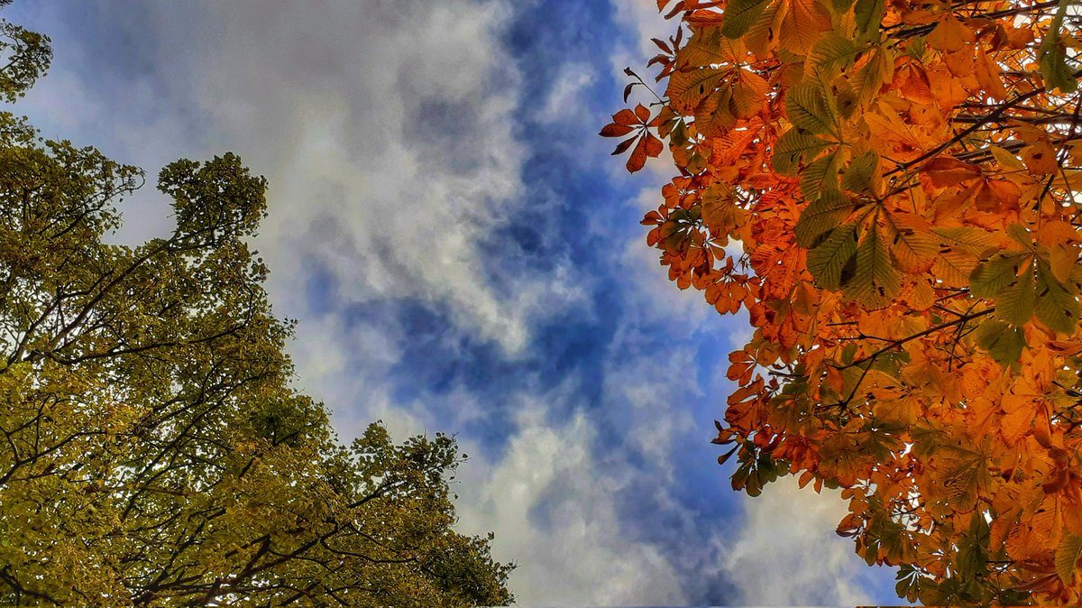 Machynlleth colours 🥰