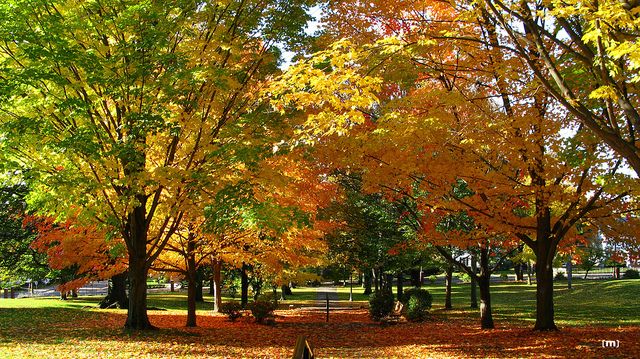 DavidRosowsky's tweet photo. Honored to be attending the @TuftsUniversity @TuftsEngineer Board of Advisors meeting today. Disappointed not to be back 'On the Hill' (especially at this beautiful time of year) with fellow board members but very glad to be joining you virtually.🐘🐘 #DoubleJumbo @TuftsAlumni https://t.co/nI7LsfCJKc