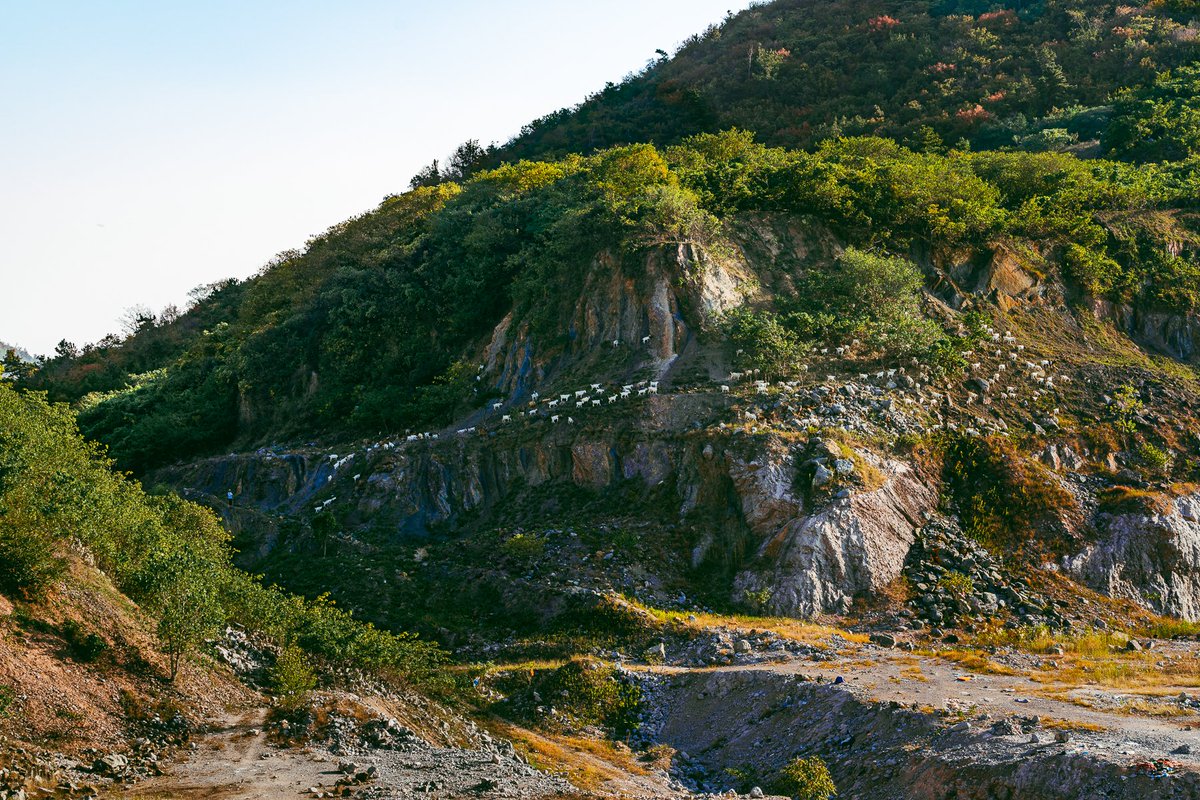 chichan2k6's tweet photo. #写真好きな人と繋がりたい #写真 #写真撮影  #photography https://t.co/fKVNpE3Umb