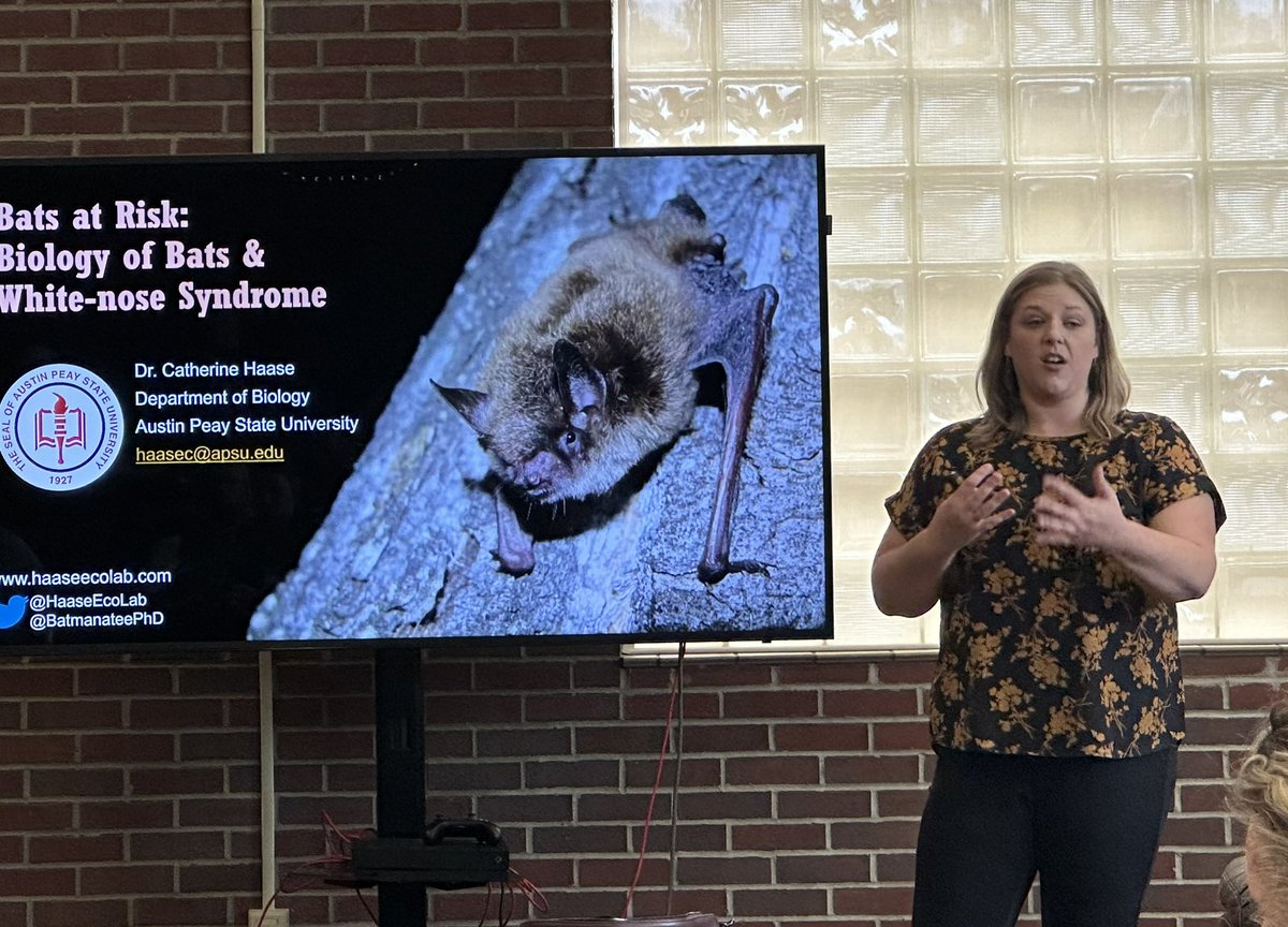 Excited to hear @BatmanateePhD talk about Bats at Risk during Bat Week!