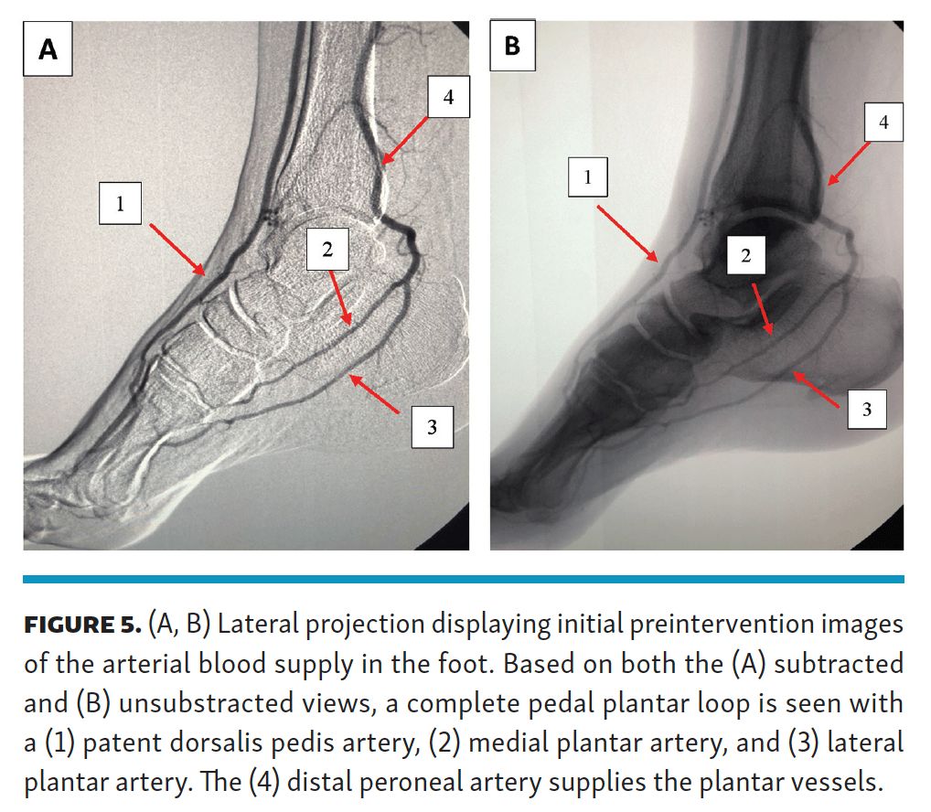 David G. Armstrong follow @dgarmstrong.bsky.social tweet media