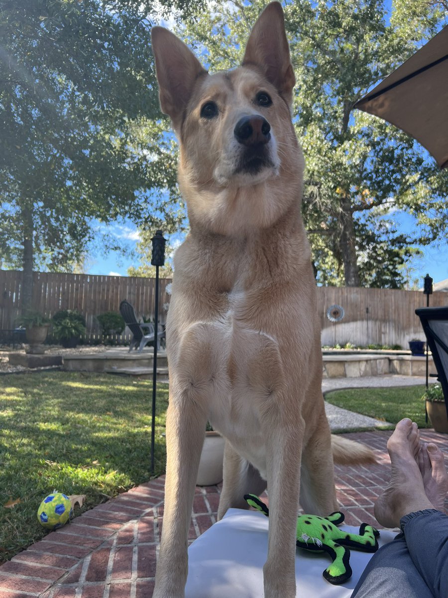 Kris (@krishfner1) on Twitter photo 