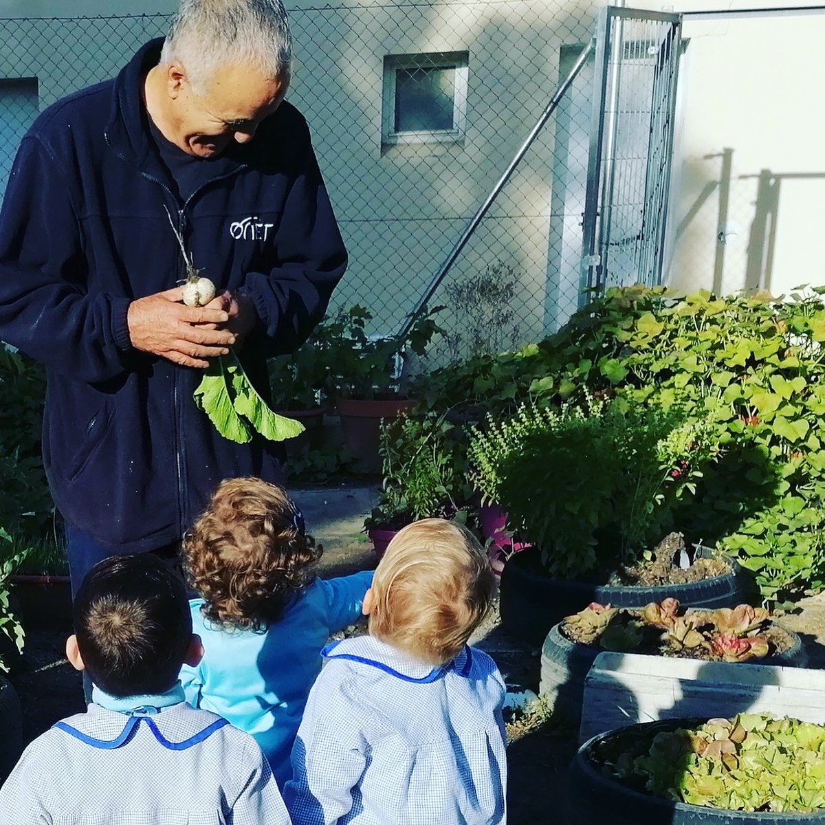 ColegiosZola's tweet photo. 🥔 🥕 ¡Cómo disfrutamos en nuestra huerta! 

🌞 Aprovechando esta soleada jornada otoñal, en 2 años del #ColegioZolaVillafranca han visitado la huerta para conocer las verduras y hortalizas que se cultivan en esta época del año. 

#Escuelainfantil #innovacióneducativa https://t.co/6JFMrBQJYR