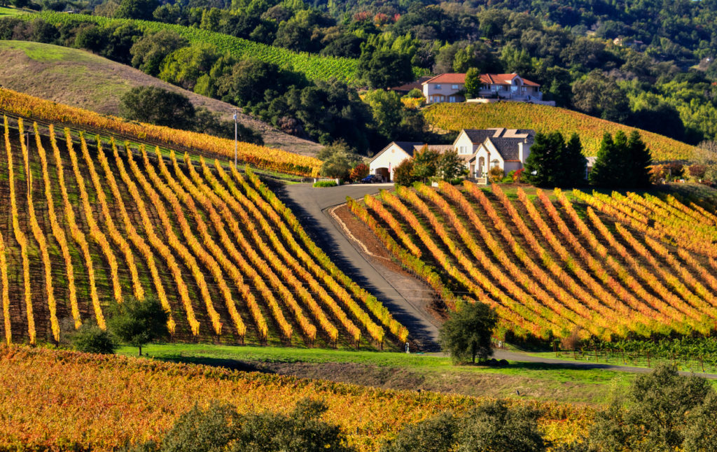 WesleyJBaker's tweet photo. It's enough to follow the Wine Road, and you'll encounter a frenzy of fall hues and superb views.
Click for more https://t.co/oRw4PF2AlT
#fallincalifornia #autumn #fallinnapa #napavalleywine #winecountry #Napa #wine #fall https://t.co/Qwmu3gTlUa