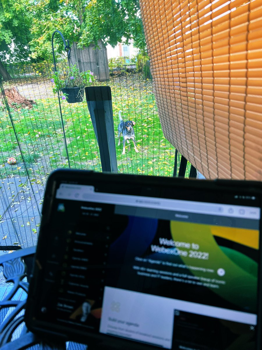 AnnMae781's tweet photo. My kind of work flow 🤓! https://t.co/KEAzyy8nEs
