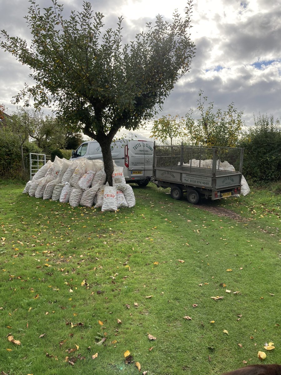 tuttsclumpcider's tweet photo. #RoadTrip to #OldburyOnSevern today for another load of #CiderApples 😊 #teamtuttsclump #propercider https://t.co/gmy8kVWVSf