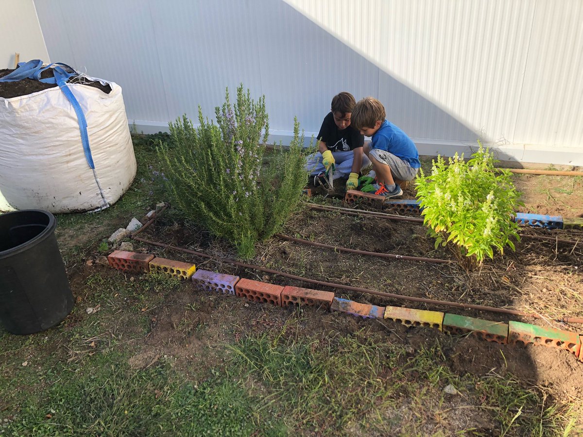 Nuestro huerto renovado. Tarde de trabajo de familias, niños y profes. Y ahora a sembrar. El huerto eje de alguno de nuestros proyectos.
#ABP #sostenible