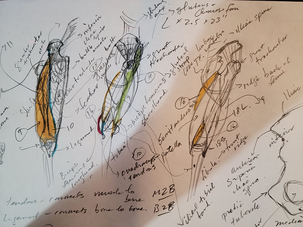 jdakotapowell's tweet photo. When the toochus is in shape, the toochus is amazing. #drawing #analyticalfiguredrawing #art https://t.co/GXlV2jgRId
