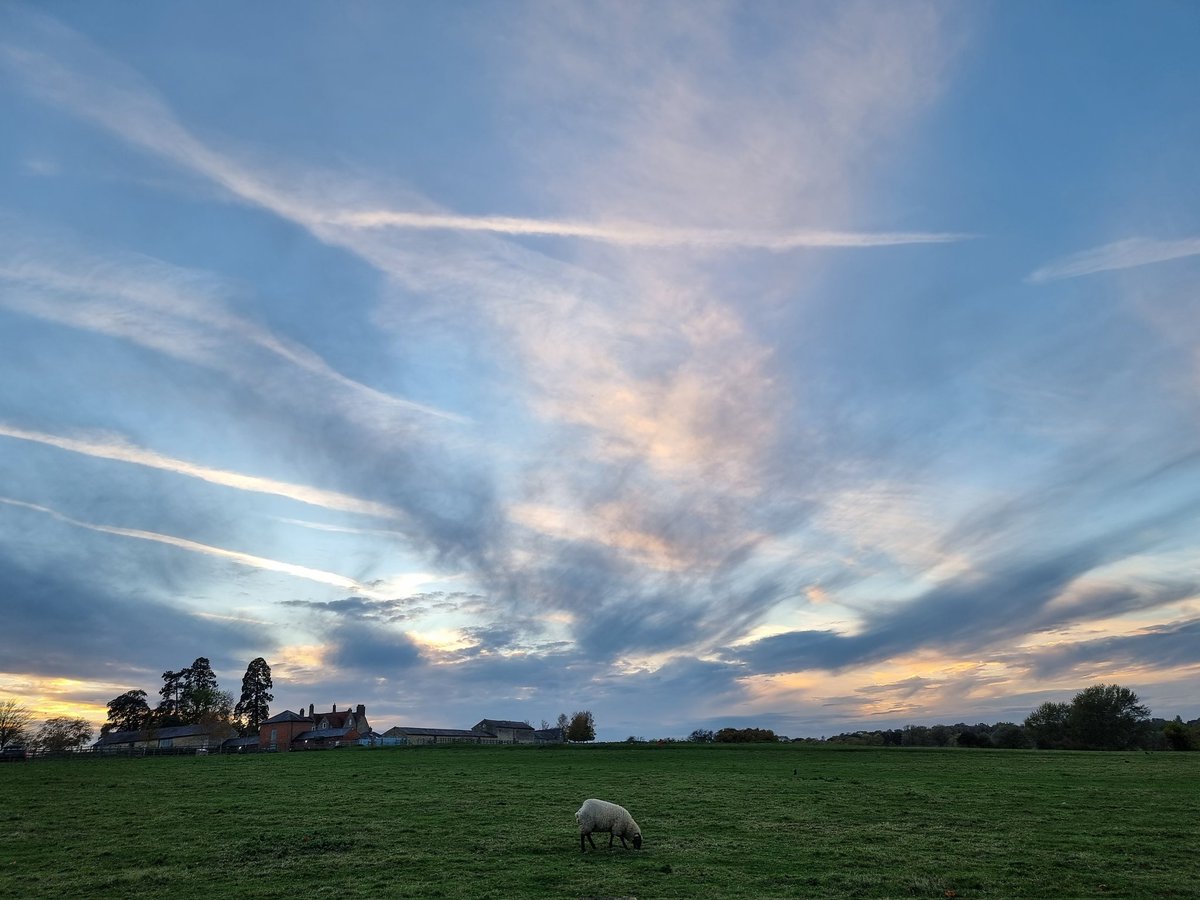 And breathe 🌬

#ScenesFromMK #TheParksTrust #Wolverton #FloodplainForestNatureReserve #StormHour