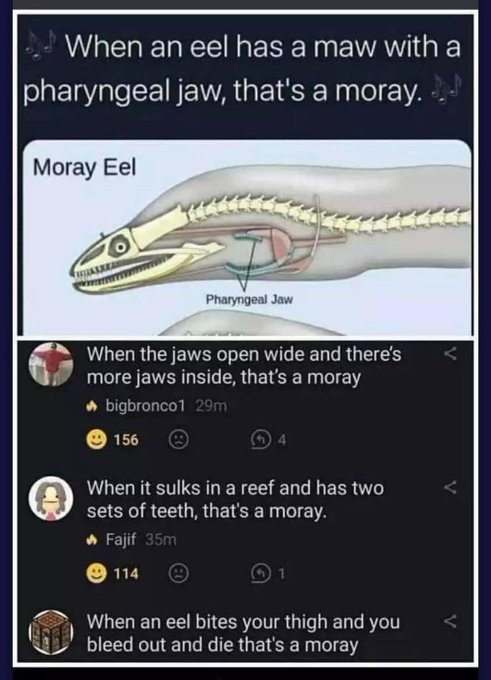 Please send me more of these lmao I’m dying #lol #funny #biology #memes #WhatsApp https://t.co/22jX7