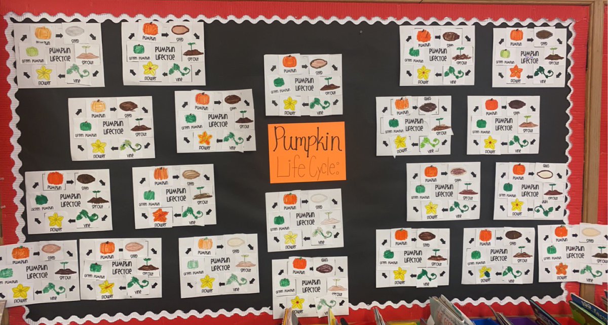 So proud of these little scientists for how hard they worked to learn about the life cycle of a pumpkin! A cancelled field trip won’t hold us back! 🎃